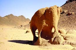 الطبيعة تبدع في نحت أشكال فنية راقية بصحراء الجزائر